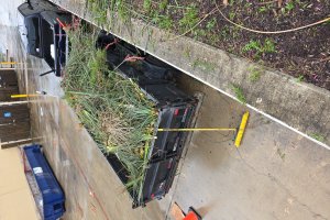 Image of Roros lawn care