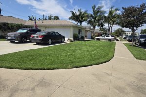 Image of Martin lawn maintenance garden 
