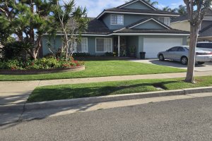 Image of Martin lawn maintenance garden 