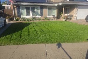 Image of Martin lawn maintenance garden 