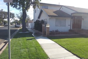 Image of Josgreen Landscaping