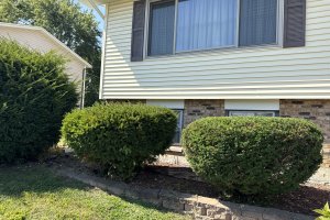 Image of Green planet lawn care