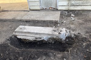 Image of Green planet lawn care