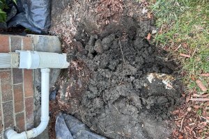 Image of Green planet lawn care