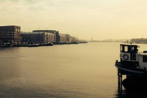 Image of Bella Aurora Landscaping-Maintenance