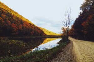 Image of Maid Experts