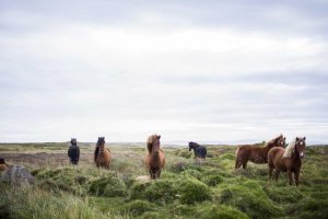 Image of cleaning services