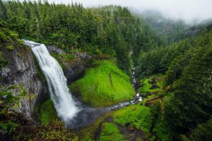 Image of SoCal Cleaner