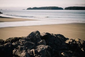 Image of Marianna's Cleaning Co.