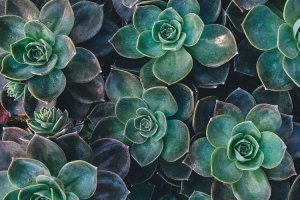 Image of Hunter Best Cleaning Inc