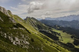 Image of Willmore Master Electrician