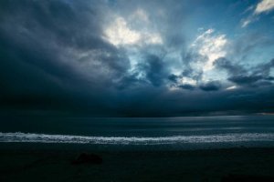 Image of Willmore Master Electrician