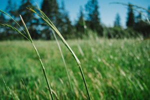 Image of Lincoln Licensed Electrician