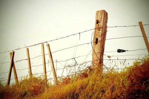 Image of Billion Certified Electrician