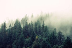 Image of Anderson AC Repair