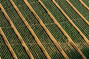 Image of Heating and Air Conditioning of Long Beach