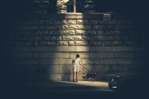 Image of Spiral 24 Hour Electrician