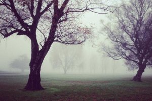 Image of Danr Electric