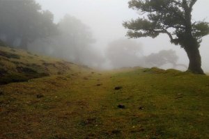 Image of AAA CALVERT Electrical, Heating and Air Conditioning