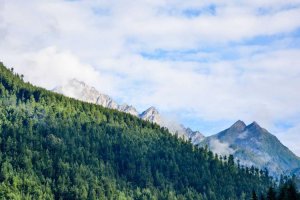 Image of Long Beach Electric