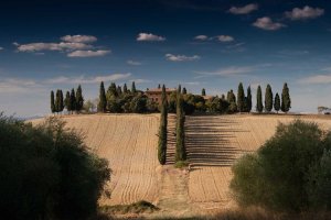 Image of Electrical Land