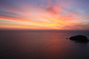 Image of Technique 24 Hour Electrician