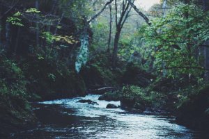 Image of ENGLISH ELECTRICIAN INC.