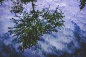 Image of LS ELECTRIC