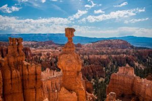 Image of VILLAGRANA ELECTRIC