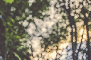 Image of T & H Electric Inc.