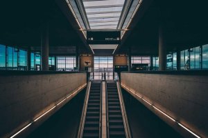 Image of Langenwalter Carpet Dyeing