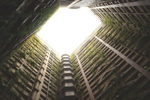 Image of Langenwalter Carpet Dyeing