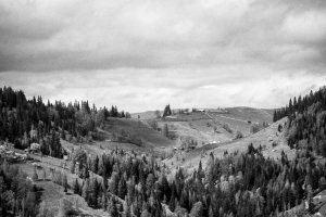 Image of milan pool services