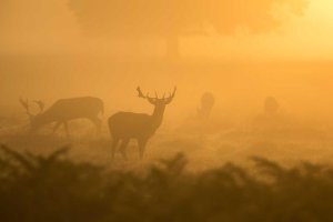 Image of Long Beach CenTex Pool And Spa