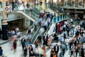 Image of Violi Bros Inc.