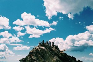 Image of Willy's Pool Services & Repairs