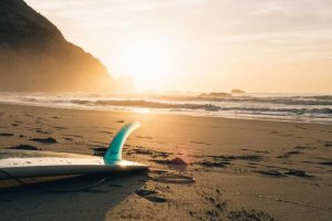 Image of Willy's Pool Services & Repairs