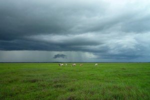 Image of A Plus Pool Cleaning