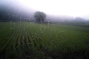 Image of Priority Pool Service