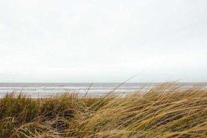 Image of Las Vegas Pool Cleaning Services LLC