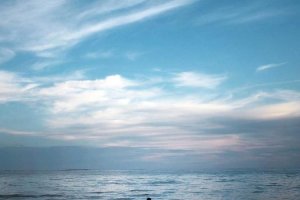 Image of Aloha Pool Cleaning LLC