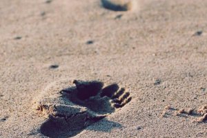 Image of Pristine Pools and Spas Utah