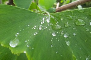 Image of A-Plus Plumbers Long beach