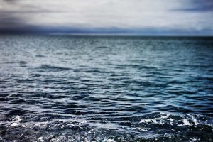 Image of Roto-Rooter Plumbing & Water Cleanup