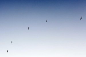 Image of Speedy Plumbers Long Beach CA