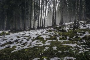 Image of Target Plumbers