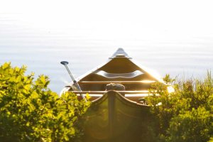 Image of Royal Flush Plumbing & Drains