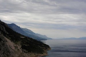 Image of Royal Flush Plumbing & Drains