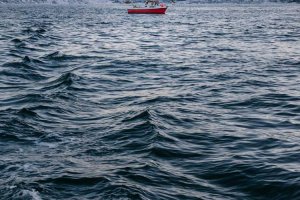 Image of A-QUICK ROOTER & PLUMBING CO.