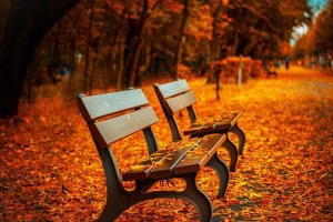 Image of Plumber Lakewood